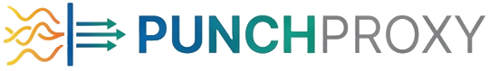 PunchProxy Logo